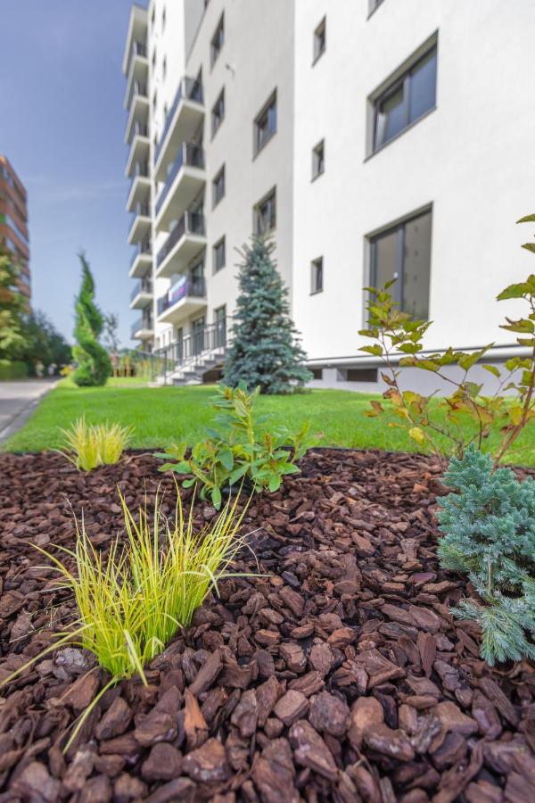 Avram Iancu Apartments บราชอฟ ภายนอก รูปภาพ